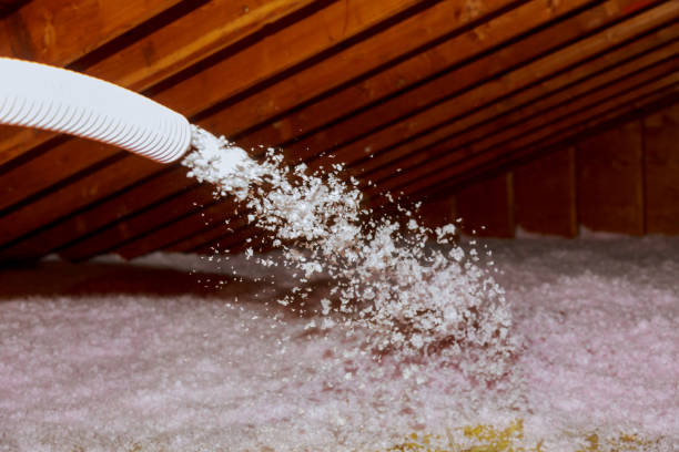Best Eco-Friendly Insulation in Gardere, LA